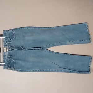 Steve & Barry's Denim Jeans Size 14Short